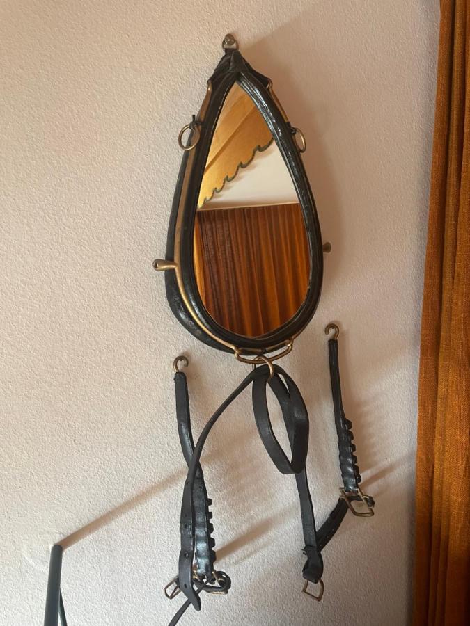 Ferienwohnung Berganemone オーバーシュタウフェン エクステリア 写真